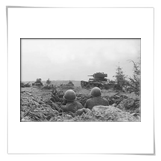 Смоленское сражение. Танки Т-26 в наступлении. Август 1941 г.